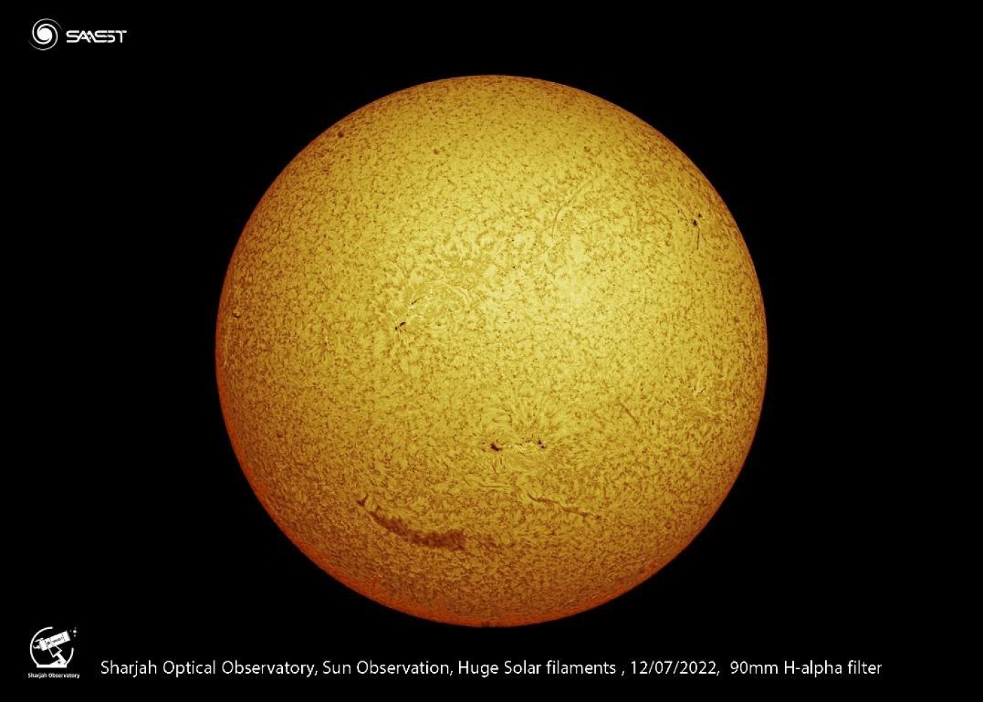 Huge Magnetic Filament Observed on the Sun’s Surface on July 12, 2022