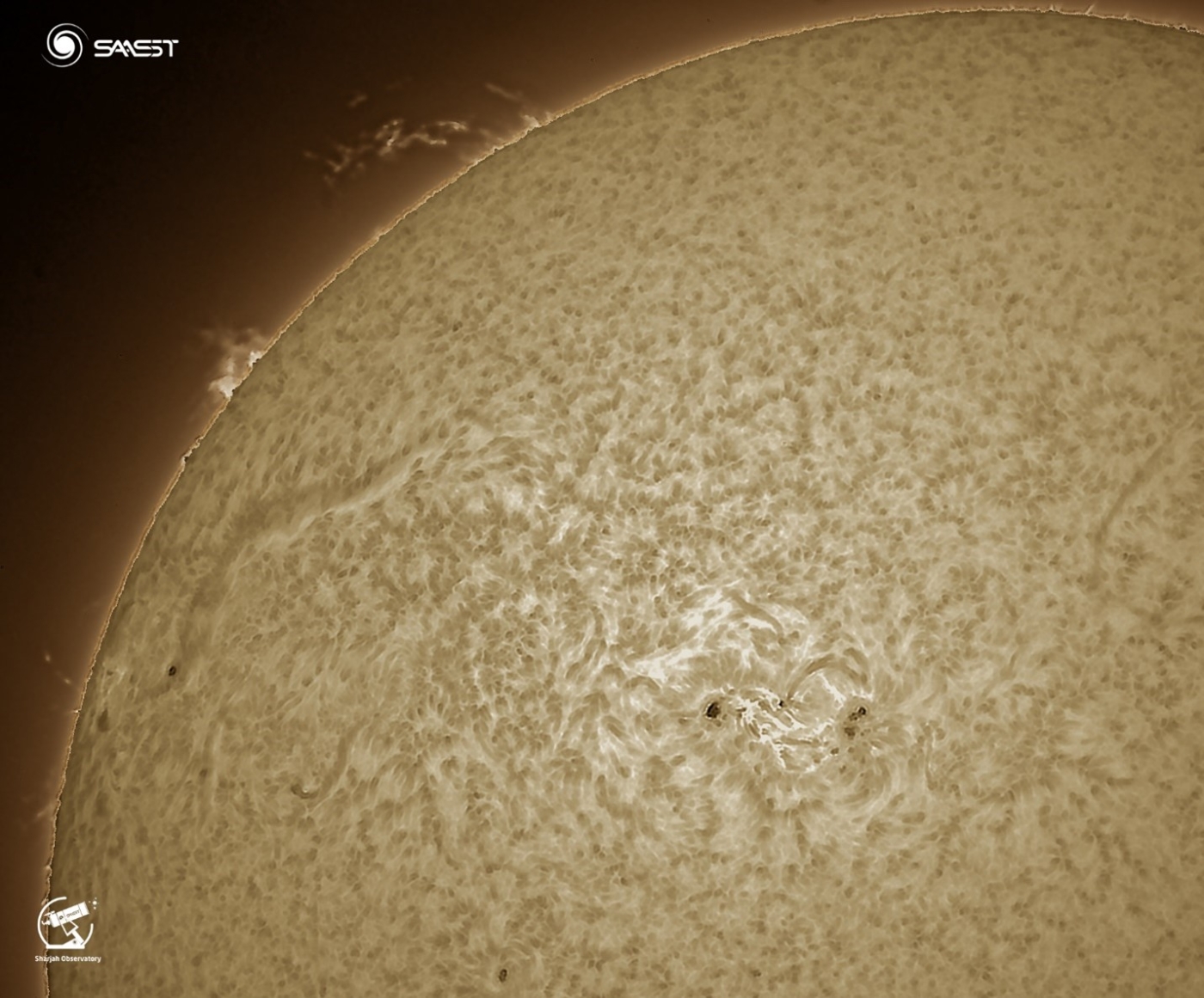 Observation of A Prominent Magnetic Filament with SOO